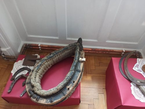 muzeum reg 15