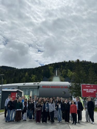 zielona bukowina 18